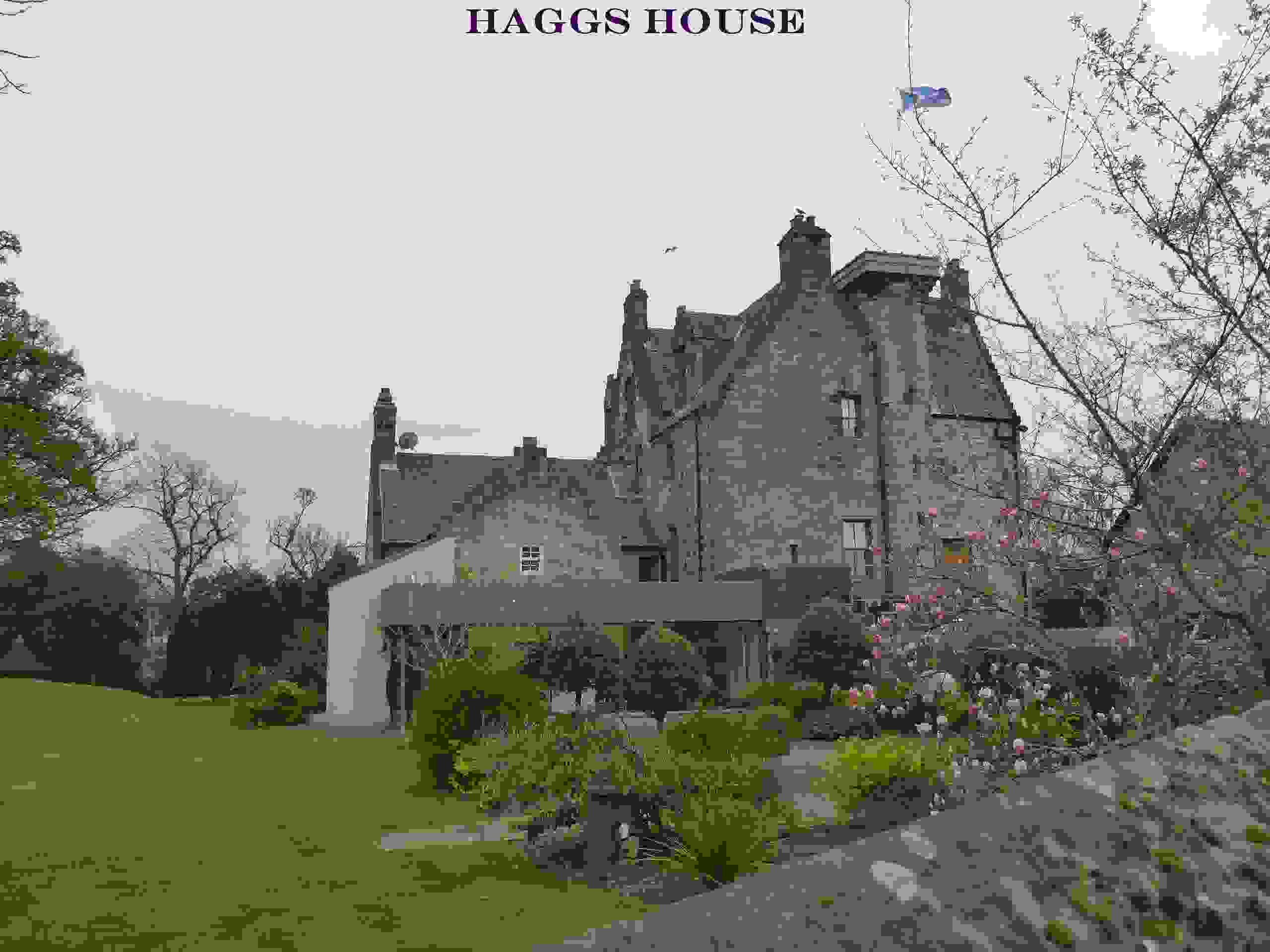 Haggs