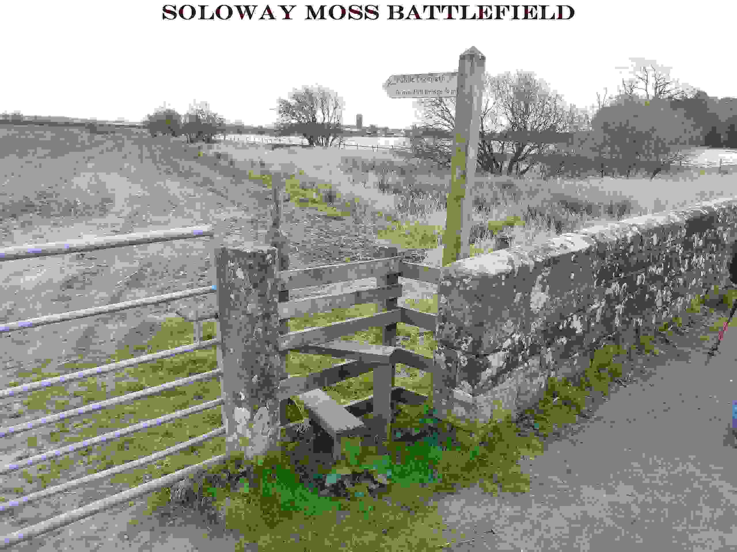 Soloway_Moss